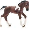 Schleich 13758 Trakehner Veulen FarmWorld -Overdekte Speelgoed Winkel schleich 13758 trakhener veulen