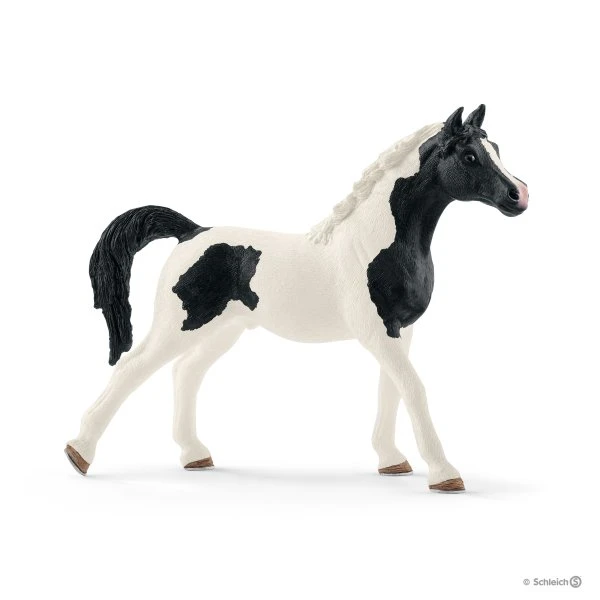 Schleich 13840 Pintabian Hengst Horse Club 4 Schleich 13840 Pintabian Hengst Horse Club - Afbeelding 2