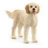 Schleich 13939 Goldendoodle Hond FarmWorld -Overdekte Speelgoed Winkel schleich 13939 goldendoodle