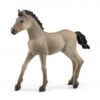 Schleich 13949 Criollo Definitivo Veulen HorseClub -Overdekte Speelgoed Winkel schleich 13949 criollo definitivo foal