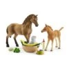 Schleich 42432 Babydieren Verzorgingsset Horse Club -Overdekte Speelgoed Winkel schleich 42432 babydieren verzorgingsset