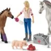 Schleich 42486 Dierenarts Met Merrie En Veulen HorseClub -Overdekte Speelgoed Winkel schleich 42486 dierenarts met merrie en veulen